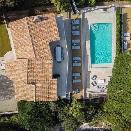 Marguerite * Saint-Tropez