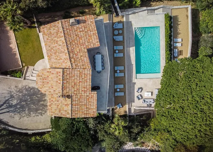 Marguerite * サントロペ